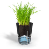 Pot d’herbes aromatiques BOTANICO